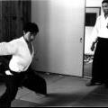 Maître Truong au Japon